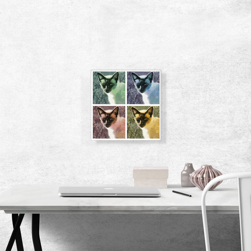 Snowshoe Cat Breed Collage