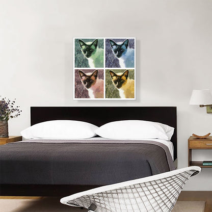 Snowshoe Cat Breed Collage