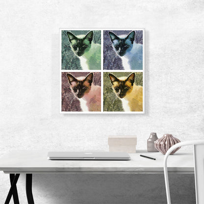 Snowshoe Cat Breed Collage