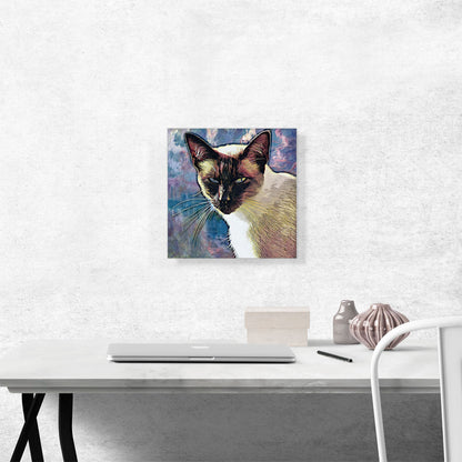 Snowshoe Cat Breed
