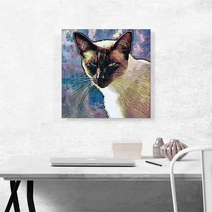 Snowshoe Cat Breed