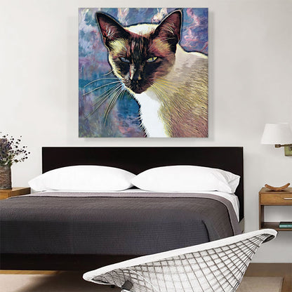 Snowshoe Cat Breed