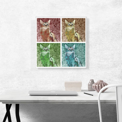 Somali Cat Breed Collage
