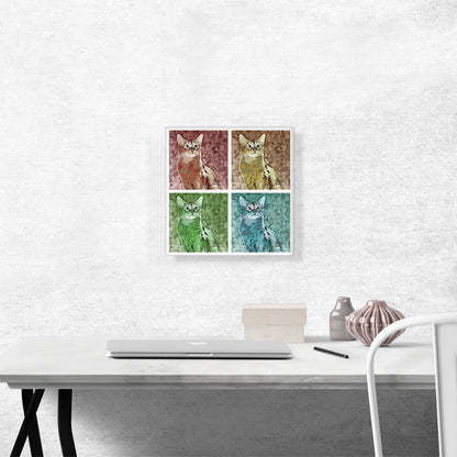 Somali Cat Breed Collage
