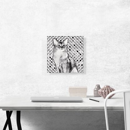 Somali Cat Breed Dots