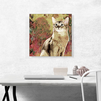 Somali Cat Breed