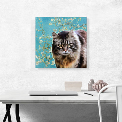 American Bobtail Cat Breed
