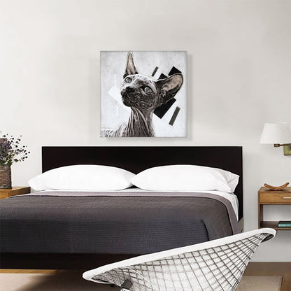 Sphynx Cat Breed White