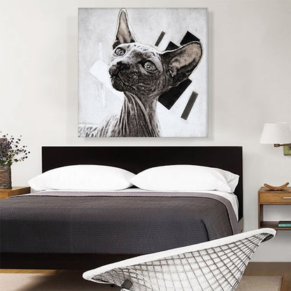 Sphynx Cat Breed White
