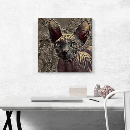 Sphynx Cat Breed