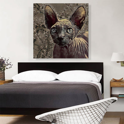 Sphynx Cat Breed