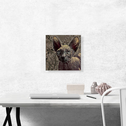 Sphynx Cat Breed