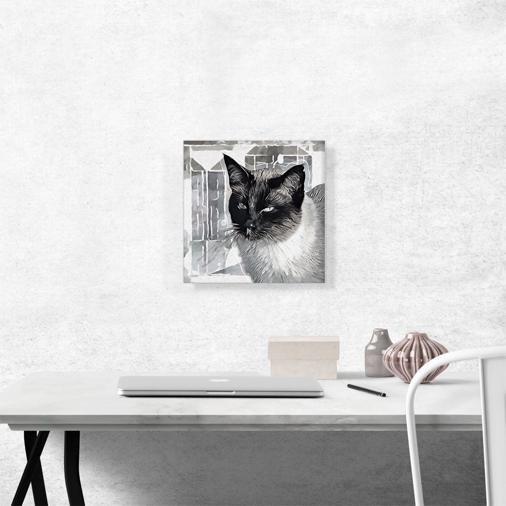 Tonkinese Cat Breed Gray