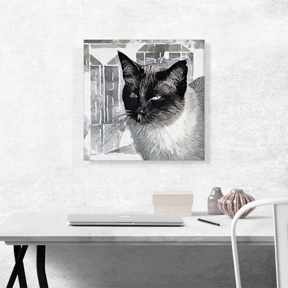 Tonkinese Cat Breed Gray