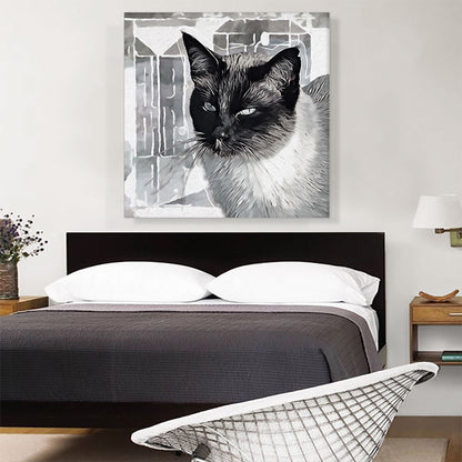 Tonkinese Cat Breed Gray