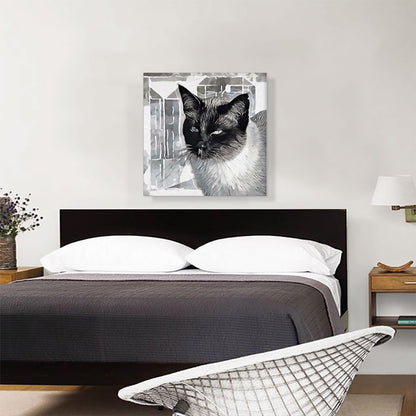 Tonkinese Cat Breed Gray
