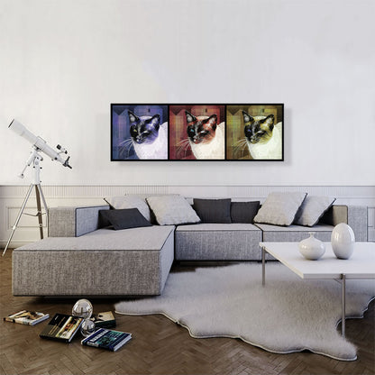 Tonkinese Cat Breed Panoramic