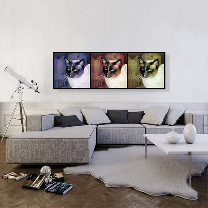 Tonkinese Cat Breed Panoramic