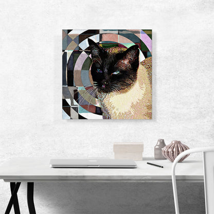 Tonkinese Cat Breed Radial