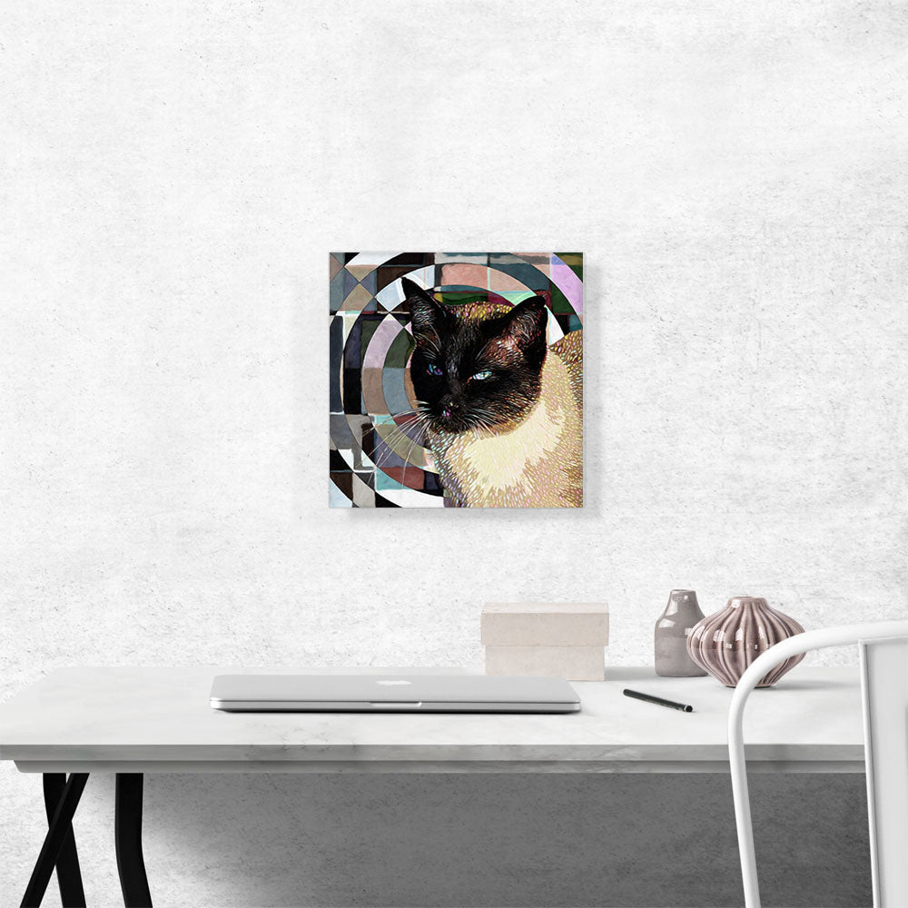 Tonkinese Cat Breed Radial