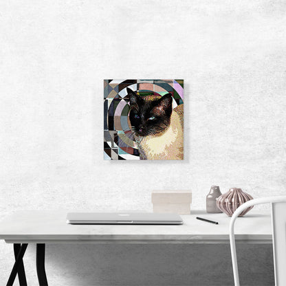 Tonkinese Cat Breed Radial