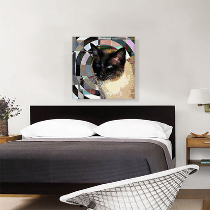 Tonkinese Cat Breed Radial
