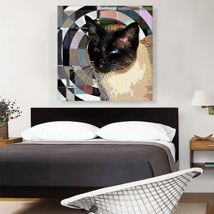 Tonkinese Cat Breed Radial