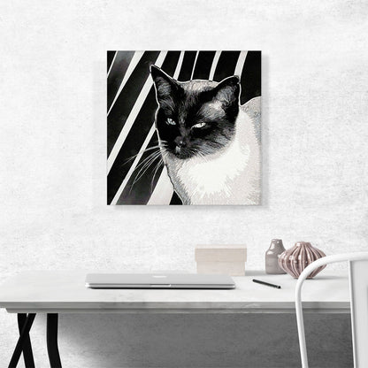 Tonkinese Cat Breed Stripes