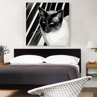 Tonkinese Cat Breed Stripes
