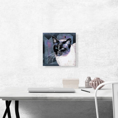 Tonkinese Cat Breed