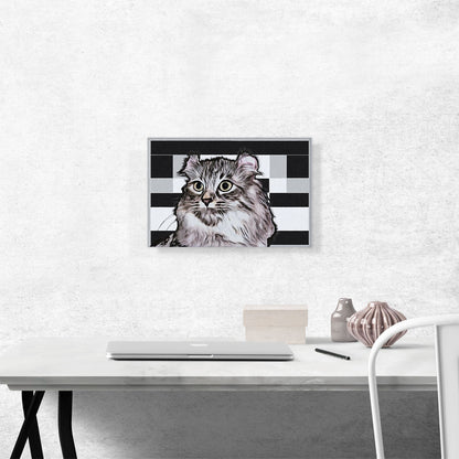 American Curl Cat Breed Geometric