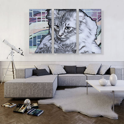 American Curl Cat Breed Light