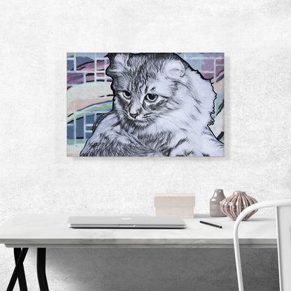 American Curl Cat Breed Light
