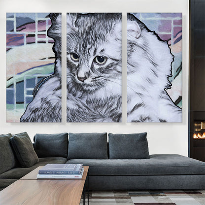 American Curl Cat Breed Light