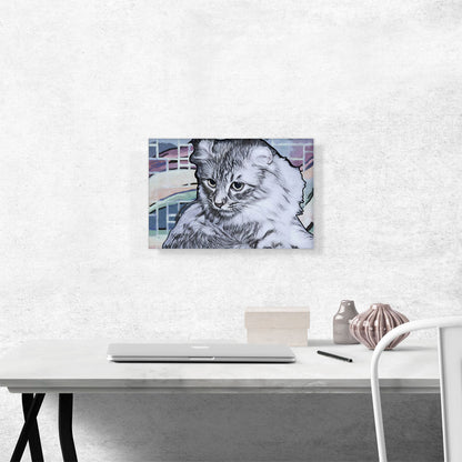 American Curl Cat Breed Light