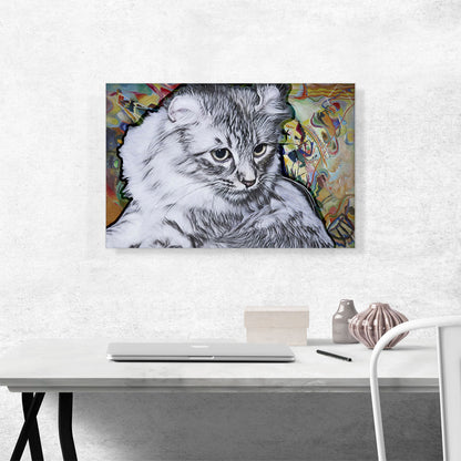 American Curl Cat Breed Multicolor