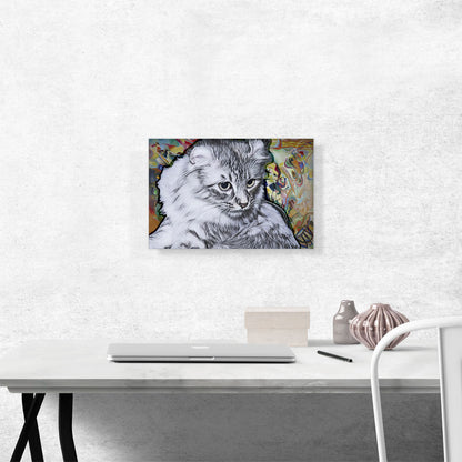 American Curl Cat Breed Multicolor