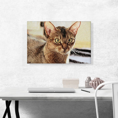 Abyssinian Cat Breed Closeup