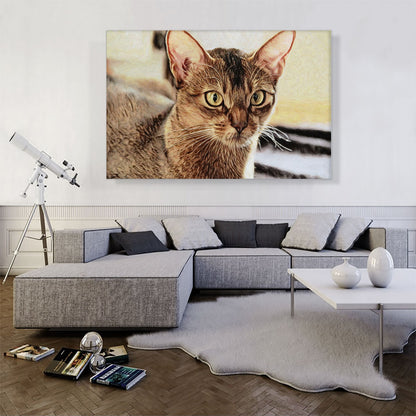 Abyssinian Cat Breed Closeup