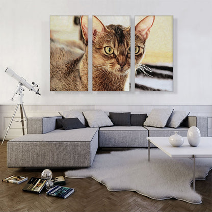 Abyssinian Cat Breed Closeup