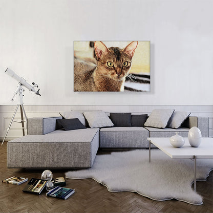 Abyssinian Cat Breed Closeup