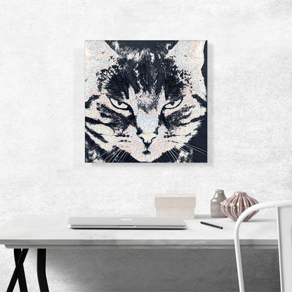 American Shorthair Angry Cat Breed Dots