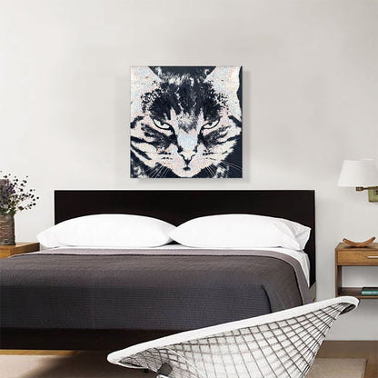 American Shorthair Angry Cat Breed Dots