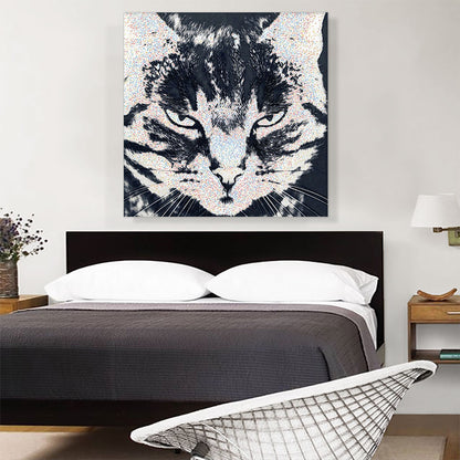 American Shorthair Angry Cat Breed Dots