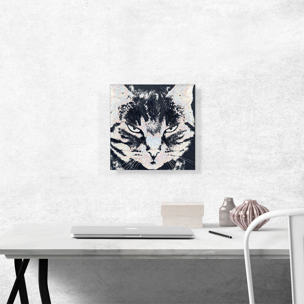 American Shorthair Angry Cat Breed Dots