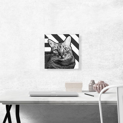 American Wirehair Cat Breed Greyscale