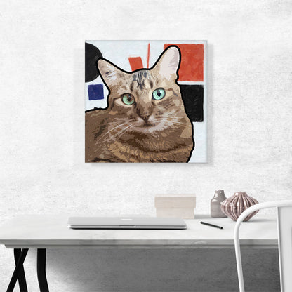 American Wirehair Cat Breed