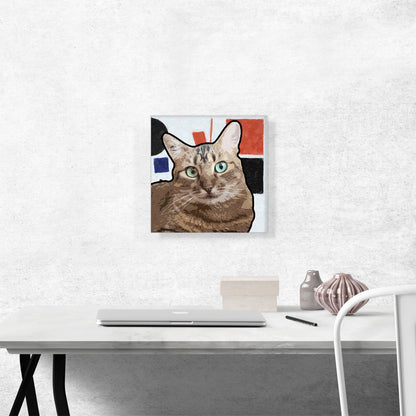 American Wirehair Cat Breed