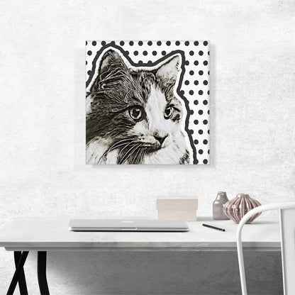 Angora Cat Breed Black Dots