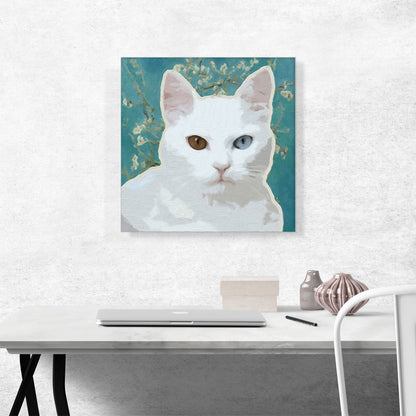 Angora Cat Breed